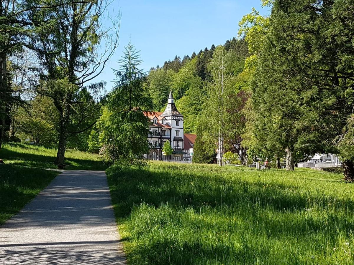 Am Klosterviertel Bad Herrenalb Eksteriør billede